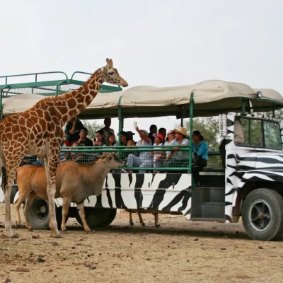 72_Teotihuacan_Reino-Animal2